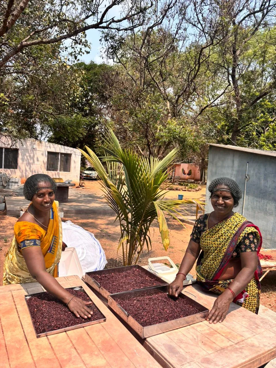 Visitors at Arunachala Cacao workshop